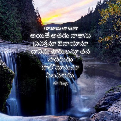 Picture 04 - 1 రాజులు 1:10 TELIRV - అయితే అతడు నాతాను - Bible Verse Picture