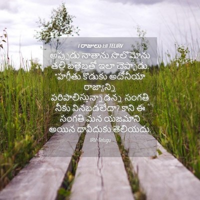 Picture 04 - 1 రాజులు 1:11 TELIRV - అప్పుడు నాతాను - Bible Verse Picture