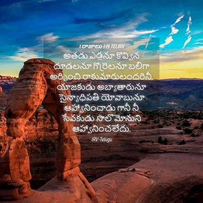 Picture 04 - 1 రాజులు 1:19 TELIRV - అతడు ఎడ్లనూ - Bible Verse Picture