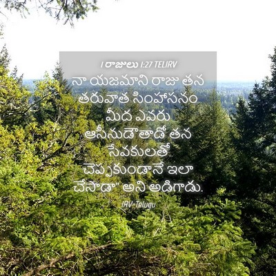 Picture 04 - 1 రాజులు 1:27 TELIRV - నా యజమాని రాజు తన - Bible Verse Picture