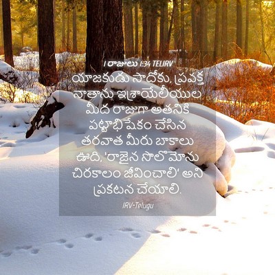 Picture 04 - 1 రాజులు 1:34 TELIRV - యాజకుడు సాదోకు, - Bible Verse Picture