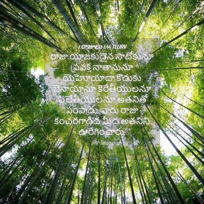 Picture 04 - 1 రాజులు 1:44 TELIRV - రాజు యాజకుడైన - Bible Verse Picture