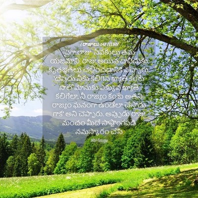 Picture 04 - 1 రాజులు 1:47 TELIRV - పైగా రాజు సేవకులు - Bible Verse Picture