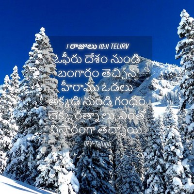 Picture 04 - 1 రాజులు 10:11 TELIRV - ఓఫీరు దేశం నుండి - Bible Verse Picture