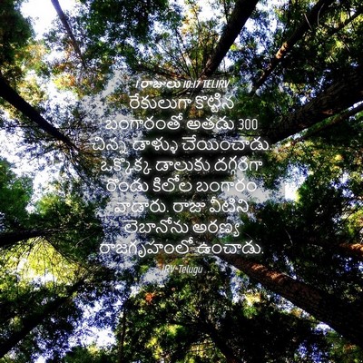 Picture 04 - 1 రాజులు 10:17 TELIRV - రేకులుగా కొట్టిన - Bible Verse Picture