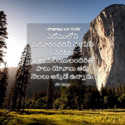 Picture 04 - 1 రాజులు 11:16 TELIRV - ఎదోములోని - Bible Verse Picture