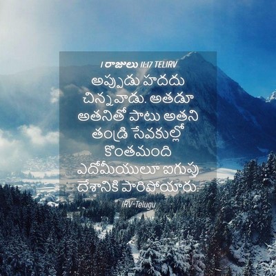 Picture 04 - 1 రాజులు 11:17 TELIRV - అప్పుడు హదదు - Bible Verse Picture