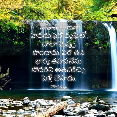 Picture 04 - 1 రాజులు 11:19 TELIRV - హదదు ఫరో దృష్టిలో - Bible Verse Picture