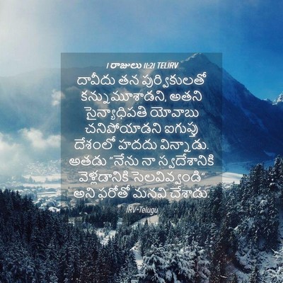 Picture 04 - 1 రాజులు 11:21 TELIRV - దావీదు తన - Bible Verse Picture