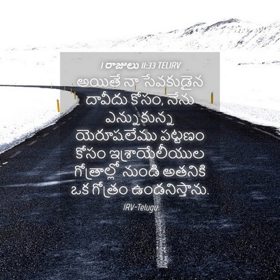 Picture 04 - 1 రాజులు 11:33 TELIRV - అయితే నా సేవకుడైన - Bible Verse Picture