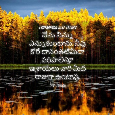 Picture 04 - 1 రాజులు 11:37 TELIRV - నేను నిన్ను - Bible Verse Picture