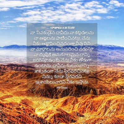 Picture 04 - 1 రాజులు 11:38 TELIRV - నా సేవకుడైన - Bible Verse Picture
