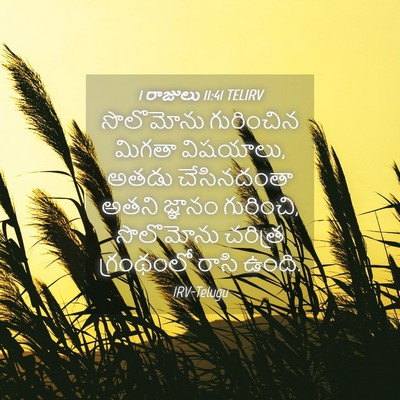 Picture 04 - 1 రాజులు 11:41 TELIRV - సొలొమోను గురించిన - Bible Verse Picture