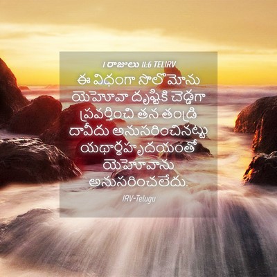 Picture 04 - 1 రాజులు 11:6 TELIRV - ఈ విధంగా సొలొమోను - Bible Verse Picture