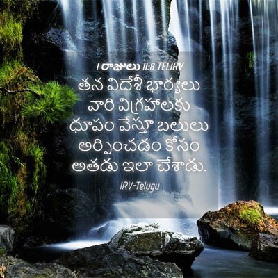 Picture 04 - 1 రాజులు 11:8 TELIRV - తన విదేశీ భార్యలు - Bible Verse Picture