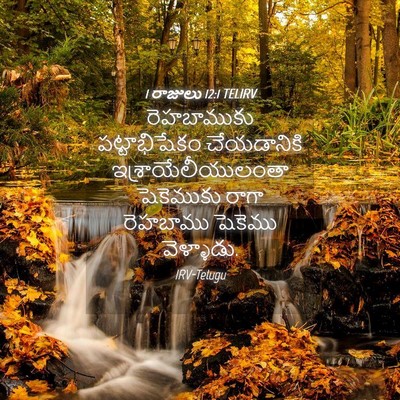 Picture 04 - 1 రాజులు 12:1 TELIRV - రెహబాముకు - Bible Verse Picture