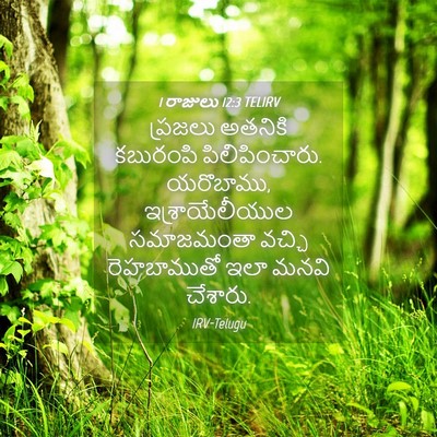 Picture 04 - 1 రాజులు 12:3 TELIRV - ప్రజలు అతనికి - Bible Verse Picture