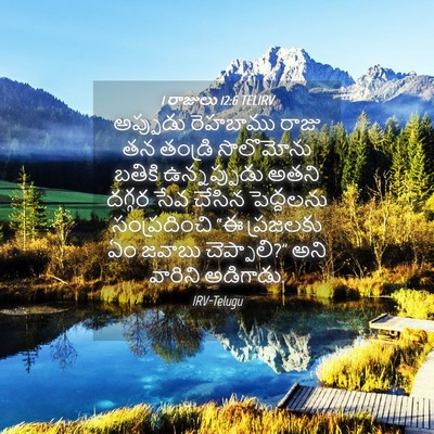 Picture 04 - 1 రాజులు 12:6 TELIRV - అప్పుడు రెహబాము - Bible Verse Picture