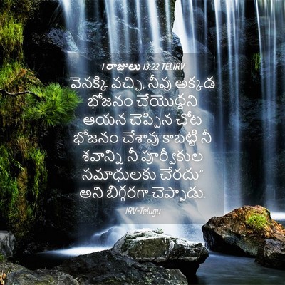 Picture 04 - 1 రాజులు 13:22 TELIRV - వెనక్కి వచ్చి, - Bible Verse Picture