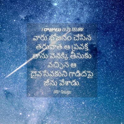 Picture 04 - 1 రాజులు 13:23 TELIRV - వారు భోజనం చేసిన - Bible Verse Picture