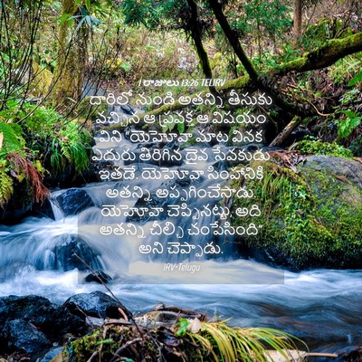 Picture 04 - 1 రాజులు 13:26 TELIRV - దారిలో నుండి - Bible Verse Picture
