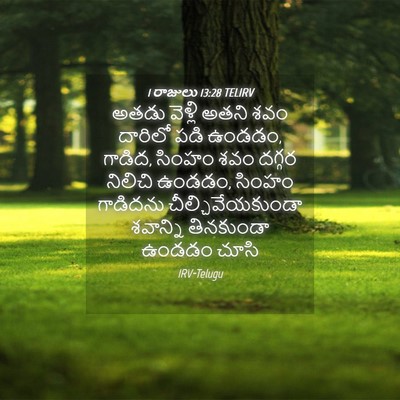 Picture 04 - 1 రాజులు 13:28 TELIRV - అతడు వెళ్లి అతని - Bible Verse Picture