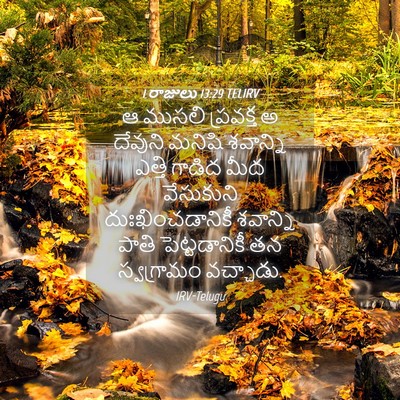 Picture 04 - 1 రాజులు 13:29 TELIRV - ఆ ముసలి ప్రవక్త అ - Bible Verse Picture