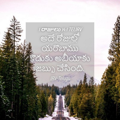 Picture 04 - 1 రాజులు 14:1 TELIRV - అదే రోజుల్లో - Bible Verse Picture