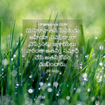 Picture 04 - 1 రాజులు 14:18 TELIRV - యెహోవా తన సేవకుడు - Bible Verse Picture