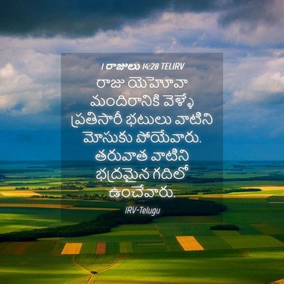 Picture 04 - 1 రాజులు 14:28 TELIRV - రాజు యెహోవా - Bible Verse Picture