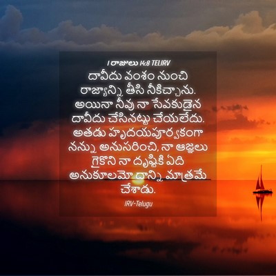 Picture 04 - 1 రాజులు 14:8 TELIRV - దావీదు వంశం నుంచి - Bible Verse Picture