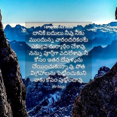 Picture 04 - 1 రాజులు 14:9 TELIRV - దానికి బదులు నీవు - Bible Verse Picture