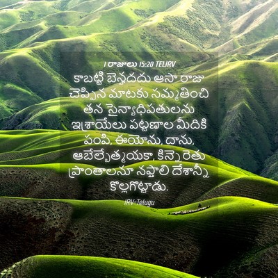 Picture 04 - 1 రాజులు 15:20 TELIRV - కాబట్టి బెన్హదదు - Bible Verse Picture