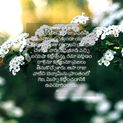 Picture 04 - 1 రాజులు 15:22 TELIRV - అప్పుడు ఆసా రాజు - Bible Verse Picture