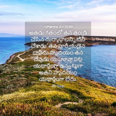 Picture 04 - 1 రాజులు 15:3 TELIRV - అతడు గతంలో తన - Bible Verse Picture