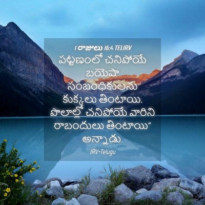 Picture 04 - 1 రాజులు 16:4 TELIRV - పట్టణంలో చనిపోయే - Bible Verse Picture