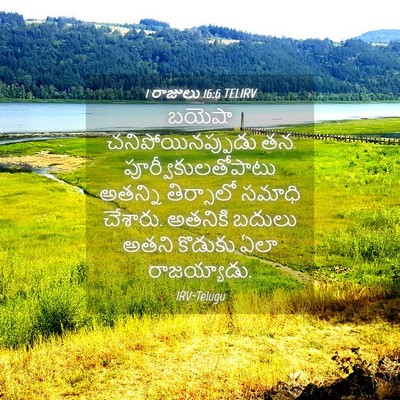 Picture 04 - 1 రాజులు 16:6 TELIRV - బయెషా - Bible Verse Picture