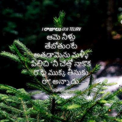 Picture 04 - 1 రాజులు 17:11 TELIRV - ఆమె నీళ్లు - Bible Verse Picture