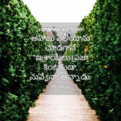 Picture 04 - 1 రాజులు 18:17 TELIRV - అహాబు ఏలీయాను - Bible Verse Picture