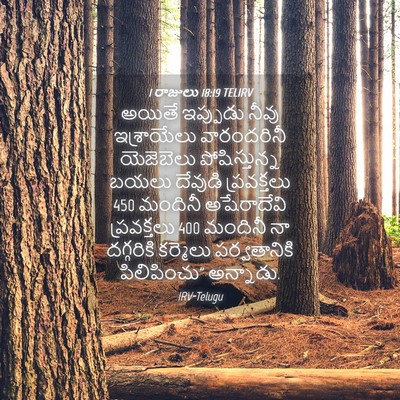 Picture 04 - 1 రాజులు 18:19 TELIRV - అయితే ఇప్పుడు - Bible Verse Picture