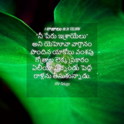 Picture 04 - 1 రాజులు 18:31 TELIRV - “నీ పేరు - Bible Verse Picture