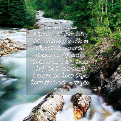 Picture 04 - 1 రాజులు 18:33 TELIRV - కట్టెలను క్రమంగా - Bible Verse Picture