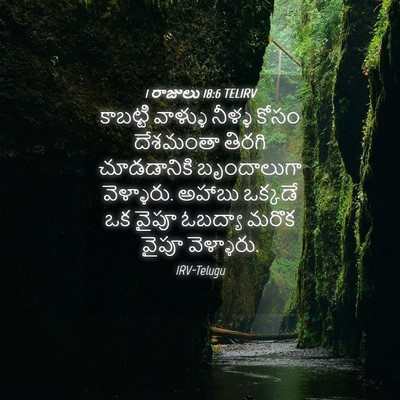 Picture 04 - 1 రాజులు 18:6 TELIRV - కాబట్టి వాళ్ళు - Bible Verse Picture
