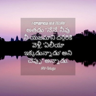 Picture 04 - 1 రాజులు 18:8 TELIRV - అతడు “నేనే. నీవు నీ - Bible Verse Picture