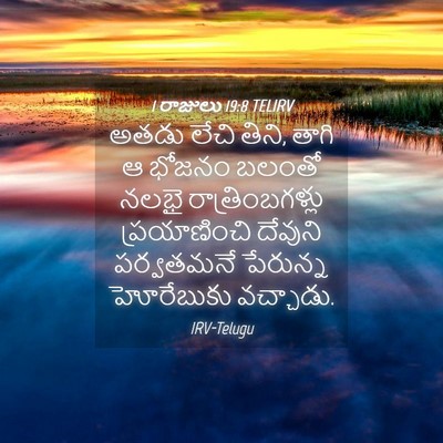 Picture 04 - 1 రాజులు 19:8 TELIRV - అతడు లేచి తిని, - Bible Verse Picture