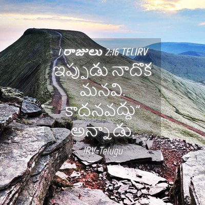 Picture 04 - 1 రాజులు 2:16 TELIRV - ఇప్పుడు నాదొక - Bible Verse Picture