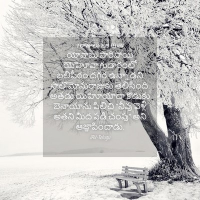 Picture 04 - 1 రాజులు 2:29 TELIRV - యోవాబు పారిపోయి - Bible Verse Picture