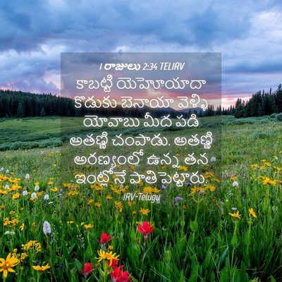 Picture 04 - 1 రాజులు 2:34 TELIRV - కాబట్టి యెహోయాదా - Bible Verse Picture
