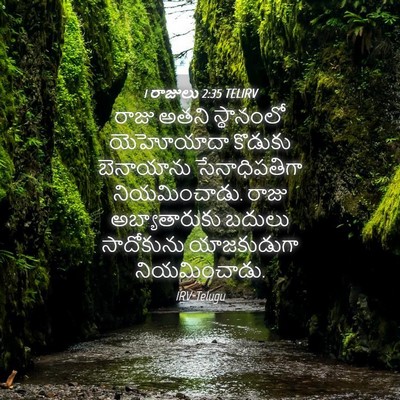 Picture 04 - 1 రాజులు 2:35 TELIRV - రాజు అతని - Bible Verse Picture