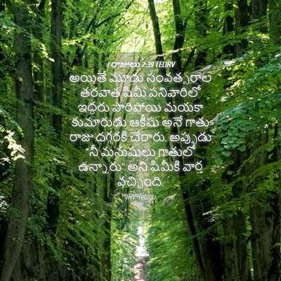Picture 04 - 1 రాజులు 2:39 TELIRV - అయితే మూడు - Bible Verse Picture